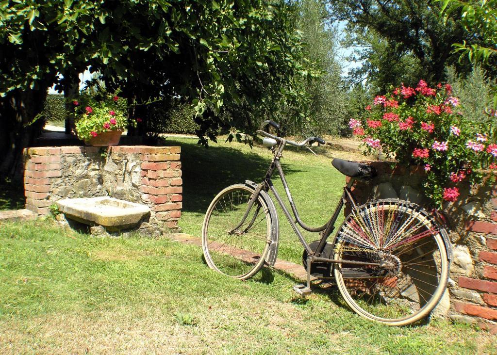 Agriturismo Il Sole Verde Bucine ภายนอก รูปภาพ