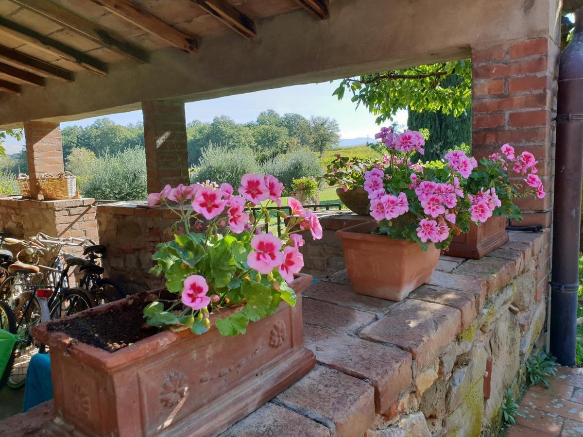 Agriturismo Il Sole Verde Bucine ภายนอก รูปภาพ
