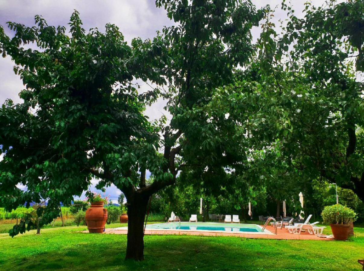 Agriturismo Il Sole Verde Bucine ภายนอก รูปภาพ